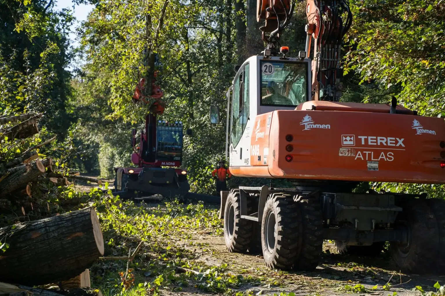 Mobilbagger von Timmen bei Rodungsarbeiten